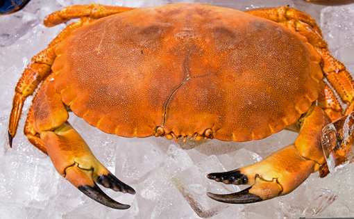 10 Best Seafood Markets in New Jersey!