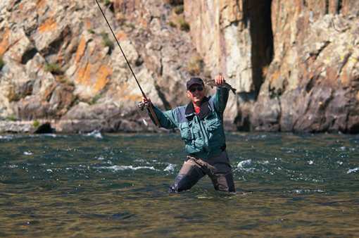 The 5 Best Fly Fishing Spots in New Mexico!