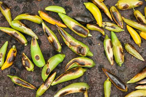 9 Best Places for Hatch Chile Peppers in New Mexico
