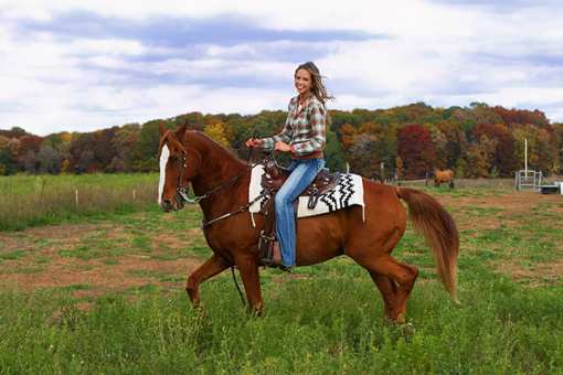 10 Best Horseback Riding Services in New Mexico!