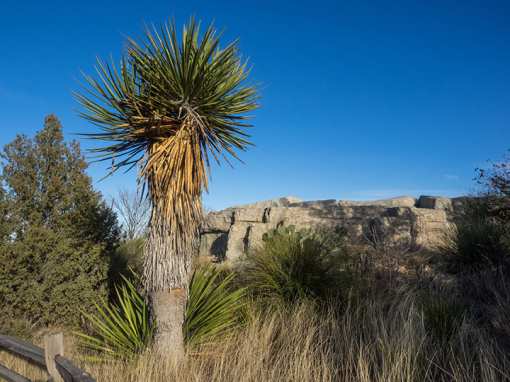 The 10 Best State Parks in New Mexico!