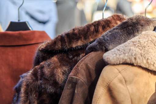 The 8 Best Thrift Shops in New Mexico!
