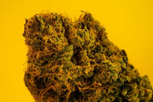 10 Best Marijuana Dispensaries in Nevada