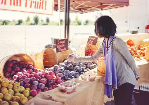 The 8 Best Markets in Nevada!