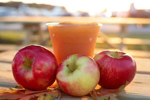 10 Best Places to Get Apple Cider in New York!