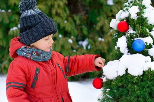10 Best Christmas Tree Farms in Ohio!