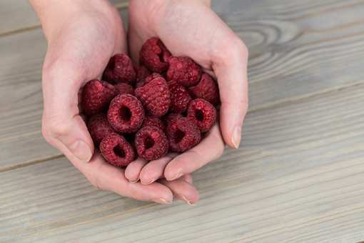 8 Best Places to Pick Raspberries in Ohio!