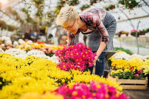 The 8 Best Garden Centers and Nurseries in Oklahoma!