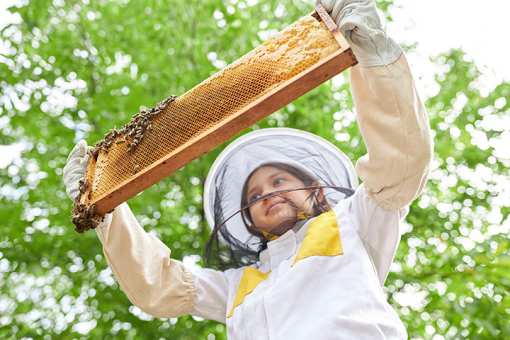 Best Honey Farms and Apiaries in Oklahoma!