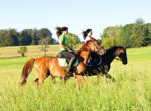 10 Best Horseback Riding Services in Oklahoma!