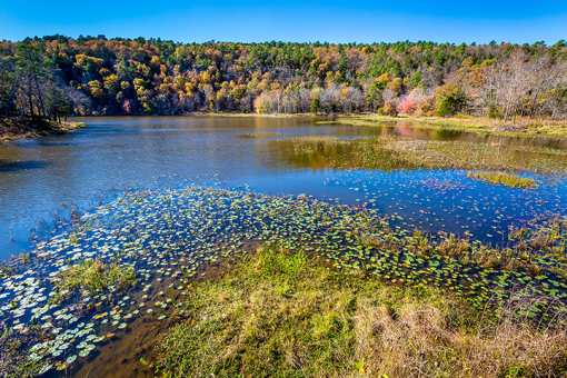 The 10 Best State Parks in Oklahoma!