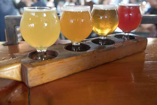 The 8 Best Breweries in Oregon!