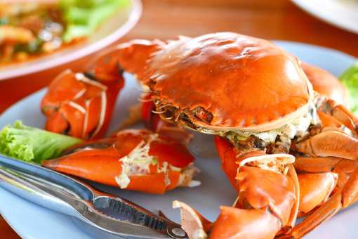 10 Best Places for Crab in Oregon