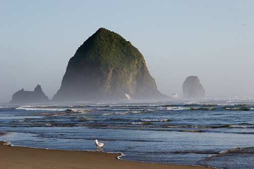 15 Fun Facts About Oregon