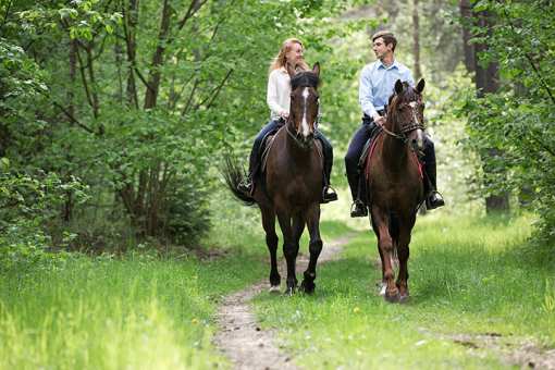 10 Best Horseback Riding Services in Oregon!