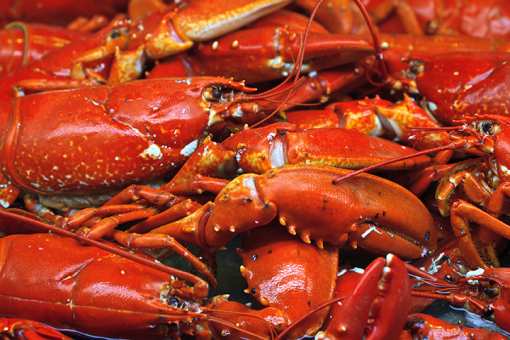 10 Best Seafood Markets in Oregon!