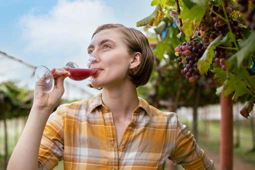 10 Best Wineries and Vineyards in Oregon!