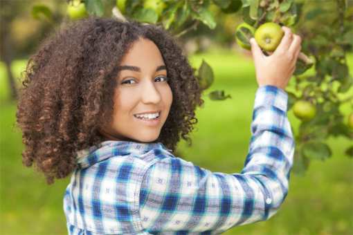 The 10 Best Apple Picking Spots in Pennsylvania!