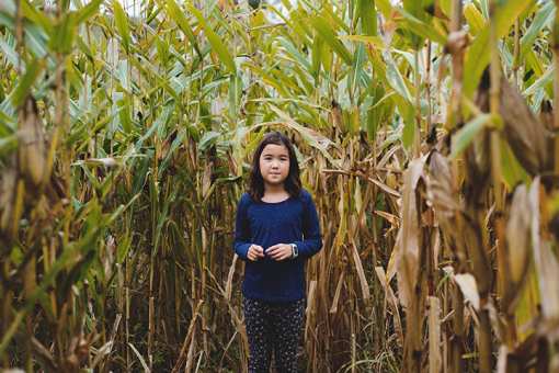 The 10 Best Corn Mazes in Pennsylvania!