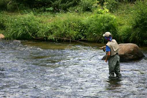 The 5 Best Fly Fishing Spots in Pennsylvania!