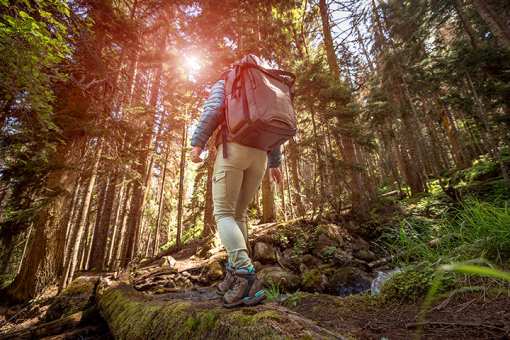 10 Best Hiking Trails in Pennsylvania!