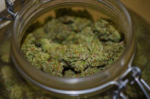 8 Best Marijuana Dispensaries in Pennsylvania