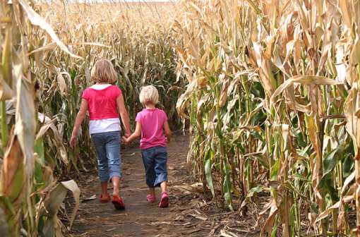 The 9 Best Corn Mazes in Rhode Island!