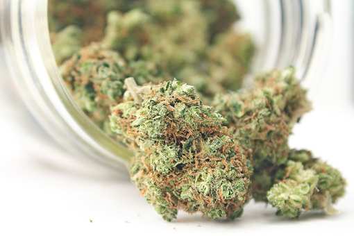 4 Best Marijuana Dispensaries in Rhode Island