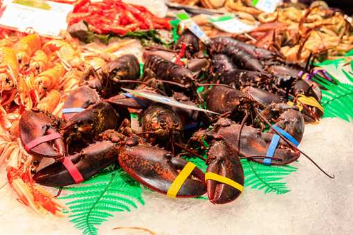 10 Best Seafood Markets in Rhode Island!