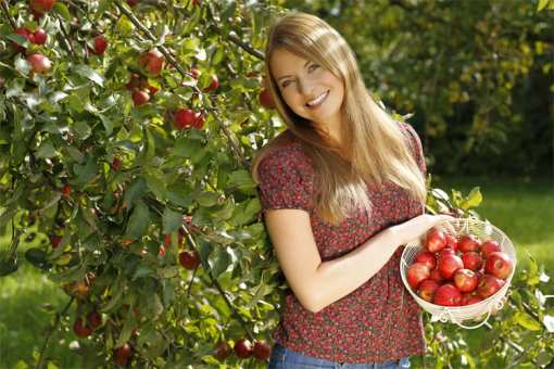 The Best Apple Orchards in South Carolina!