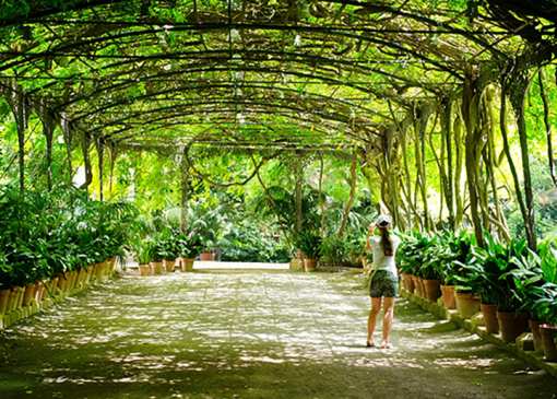 10 Beautiful Botanical Gardens in South Carolina!