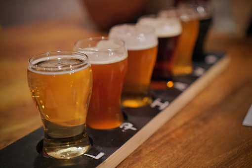 The 7 Best Breweries in South Carolina!