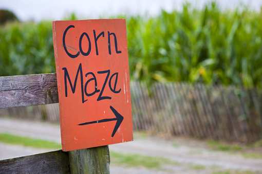 The 10 Best Corn Mazes in South Carolina!