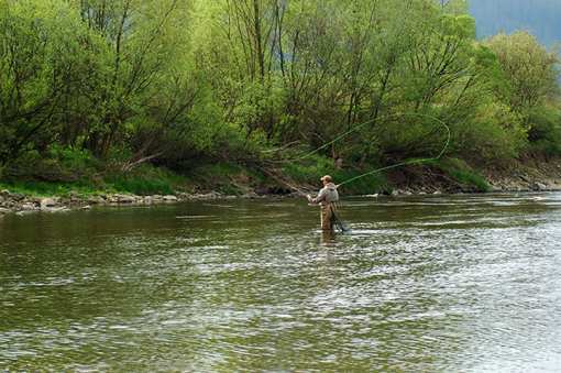 The 5 Best Fly Fishing Spots in South Carolina!