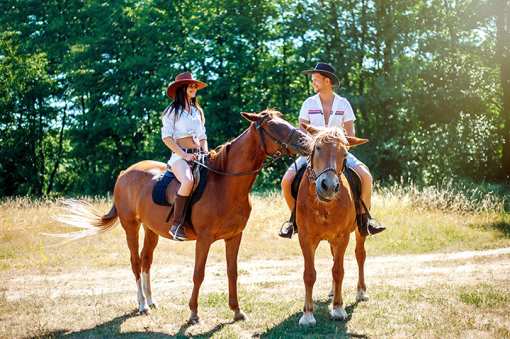 10 Best Horseback Riding Services in South Carolina!