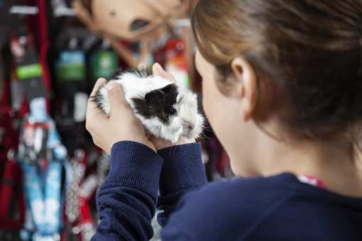 The 9 Best Pet Stores in South Carolina!