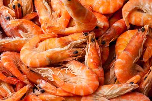 10 Best Seafood Markets in South Carolina!