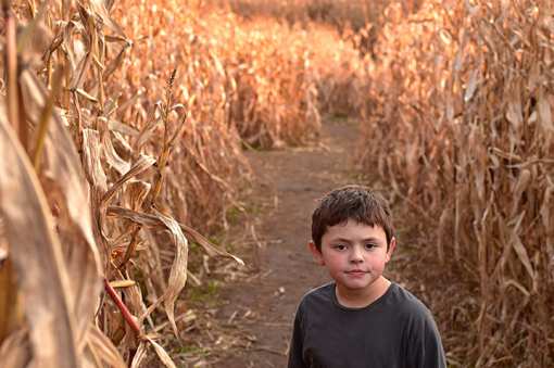 The Best Corn Mazes in South Dakota!