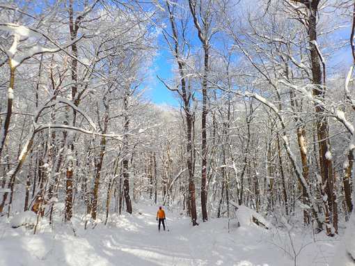 10 Best Places for Cross Country Skiing in South Dakota