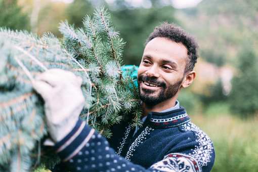 10 Best Christmas Tree Farms in Tennessee!