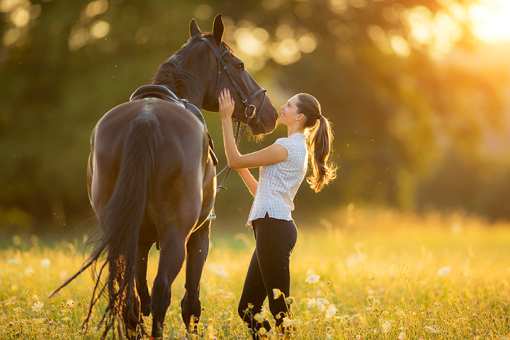 10 Best Horseback Riding Services in Tennessee!
