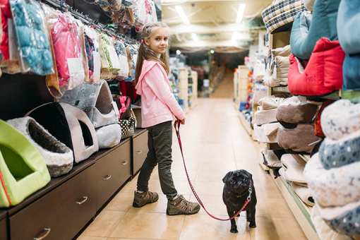 The 10 Best Pet Stores in Tennessee!