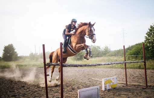 10 Best Horseback Riding Services in Texas!