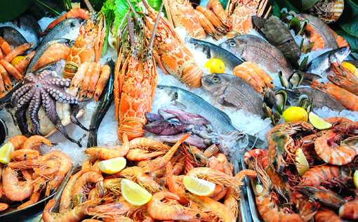 10 Best Seafood Markets in Texas!