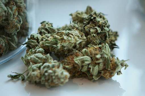 10 Best Marijuana Dispensaries in Virginia