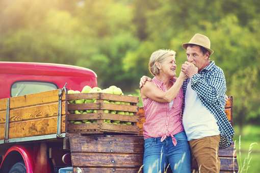 The 10 Best Apple Picking Spots in Vermont!