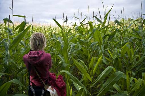 The 9 Best Corn Mazes in Vermont!
