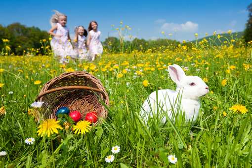 10 Best Easter Egg Hunts, Events, and Celebrations in Vermont!