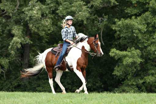 5 Best Horseback Riding Services in Vermont!