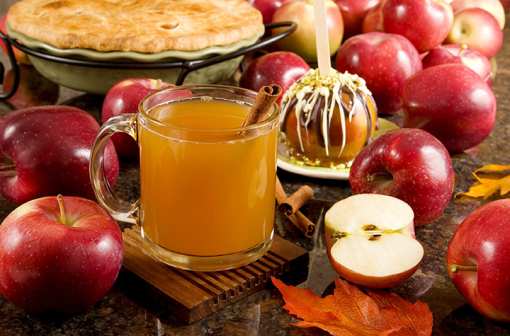7 Best Places to Get Apple Cider in Washington!